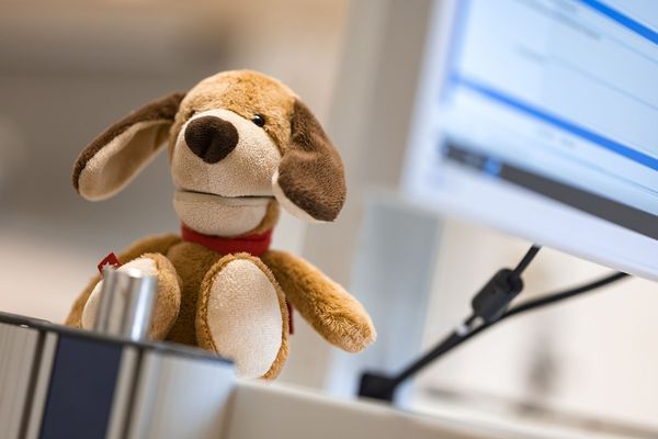 Medizinische Fachangestellte (m/w/d) im Sozialpädiatrischen Zentrum, 2. Bild